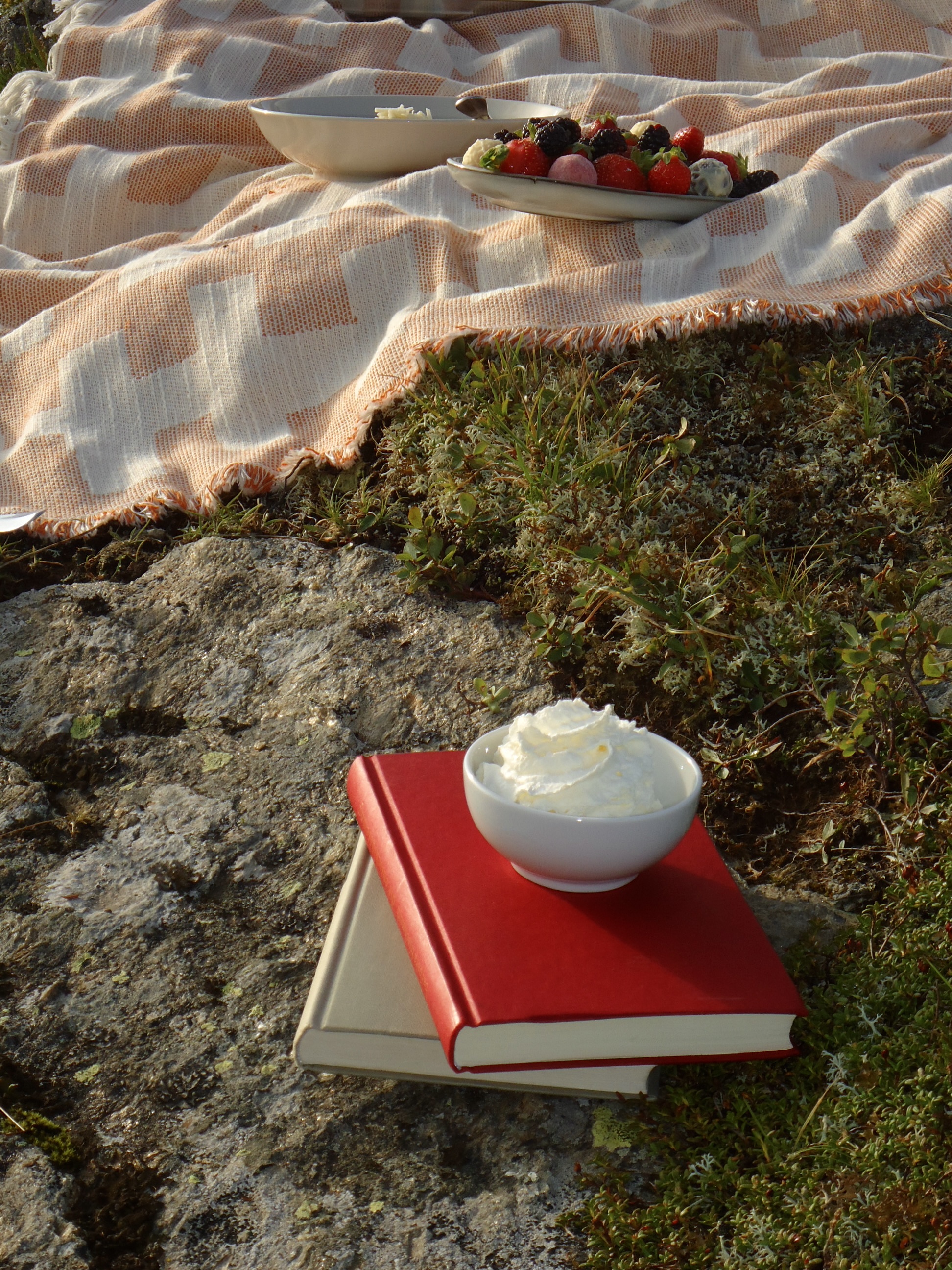 picknick in the mountains
