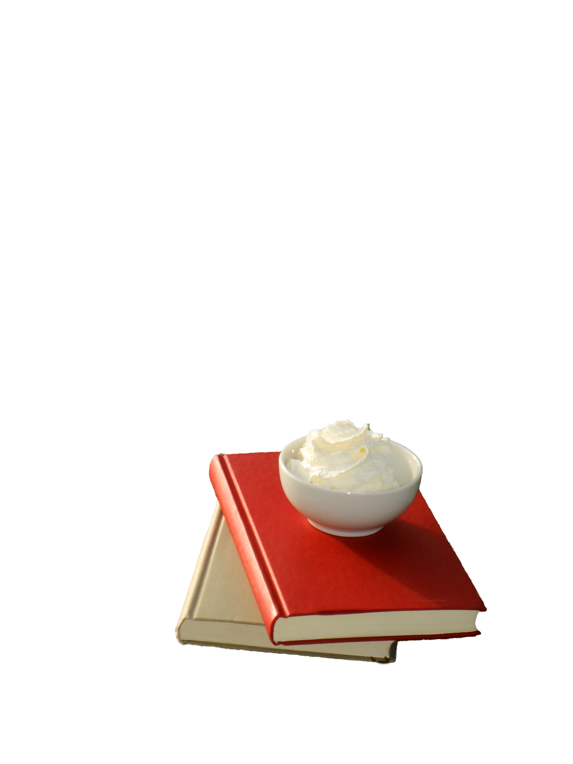 a bowl with whipped cream on some books