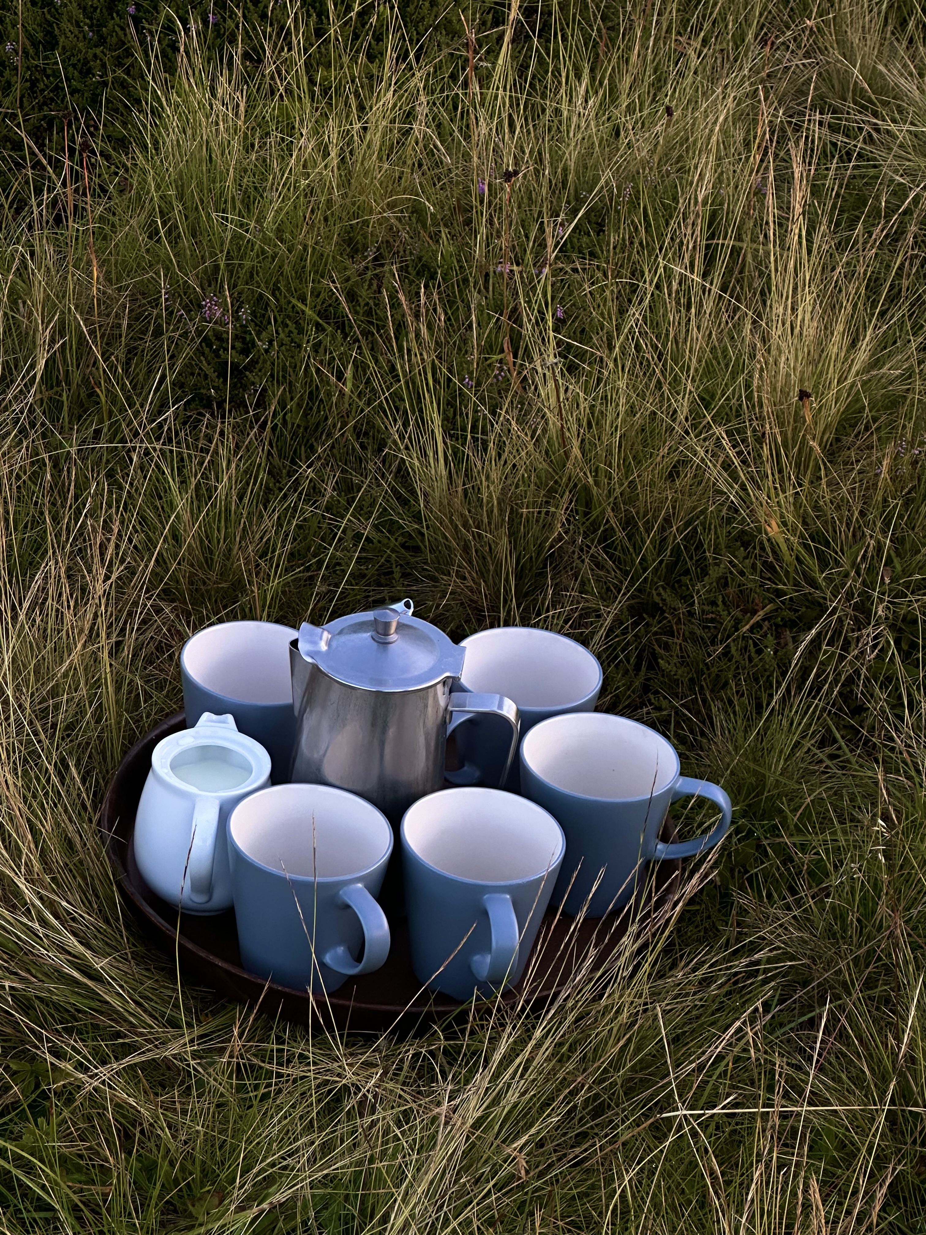 a serving tray with coffee cups on grass