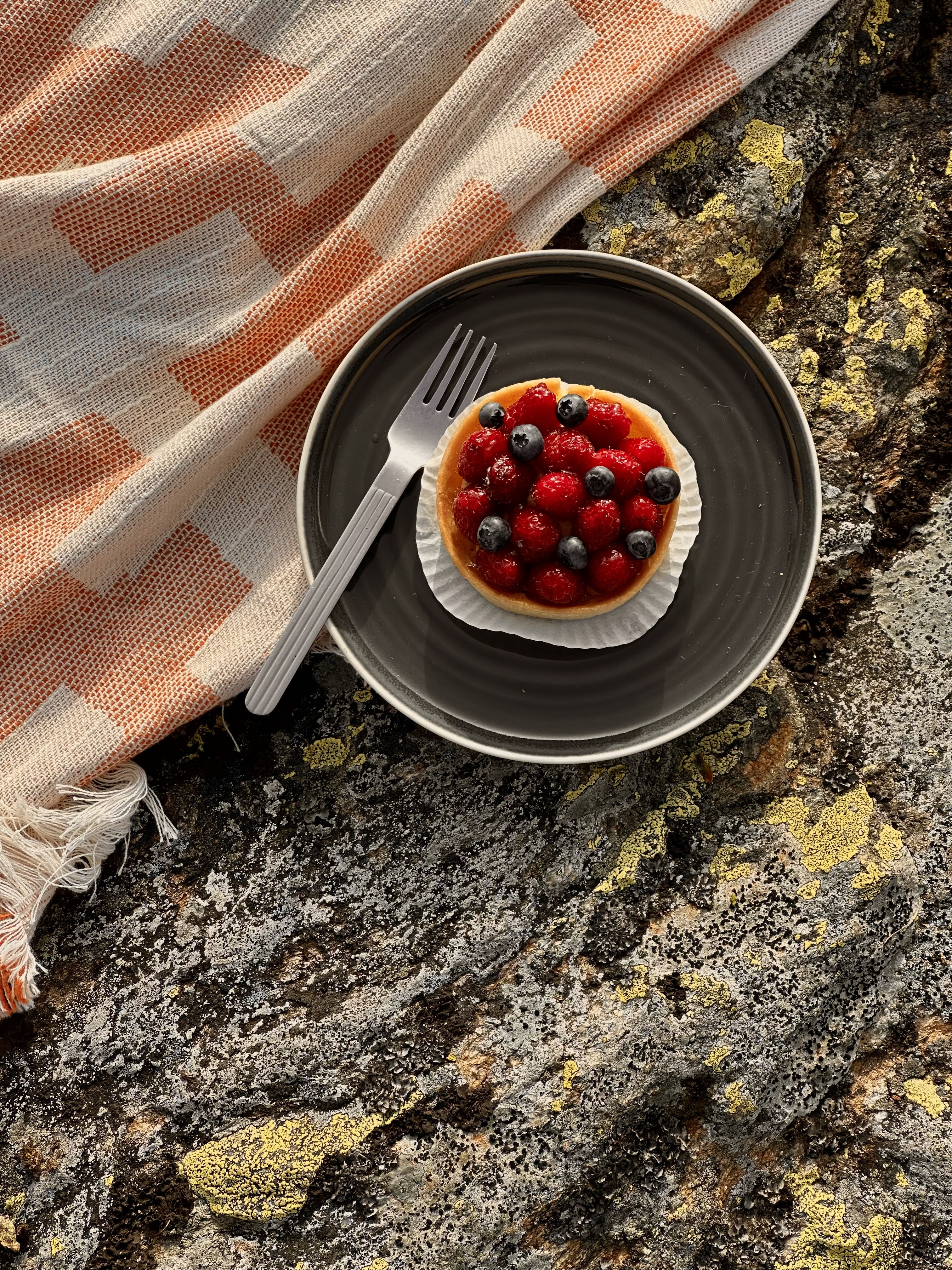 picknick in the mountains
