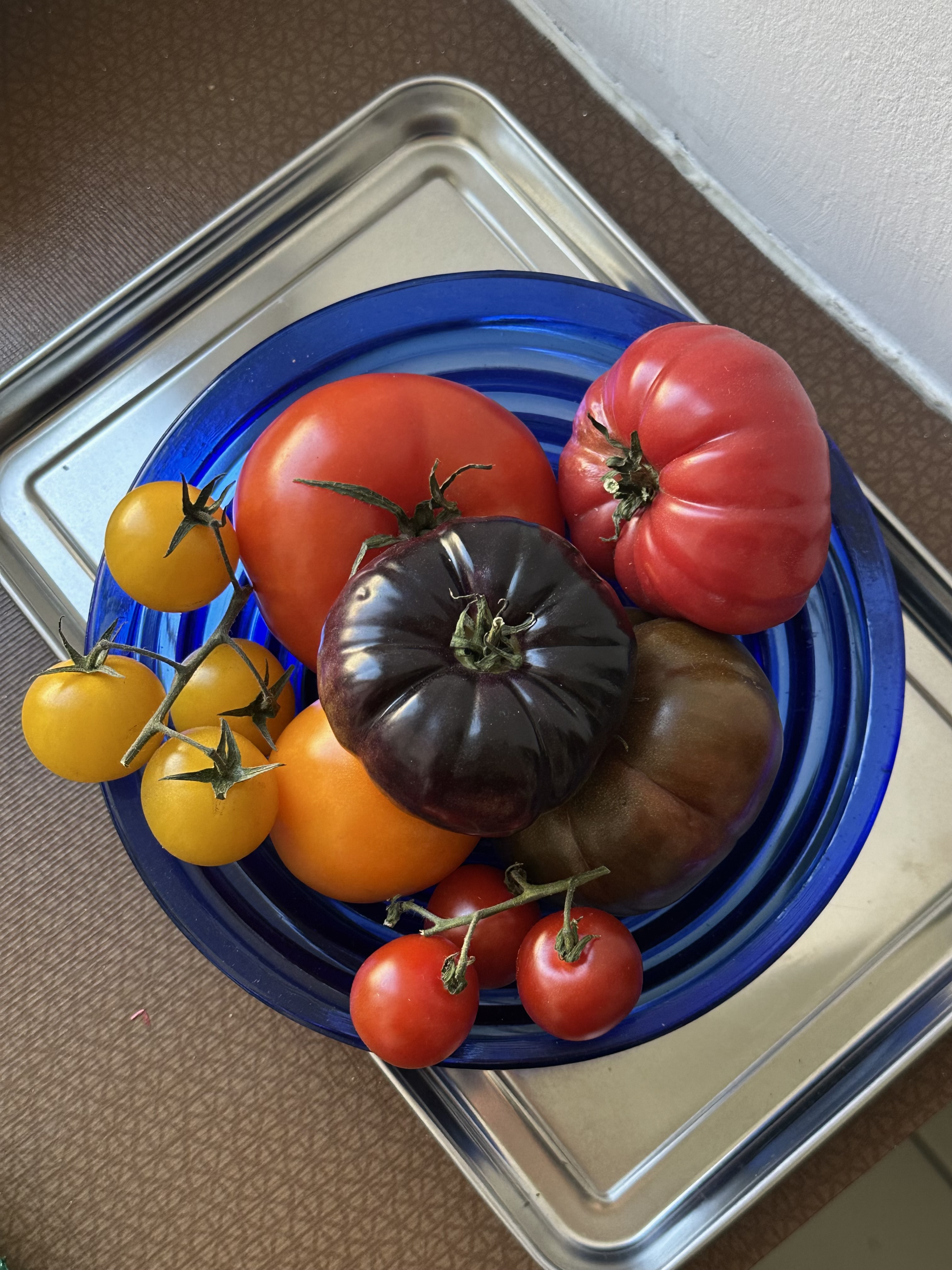 tomatoes