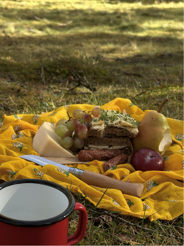 picknick in the woods